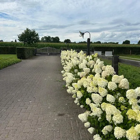 Erve Geers Farm stay