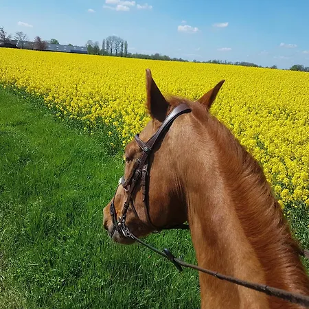 Erve Geers Gelselaar