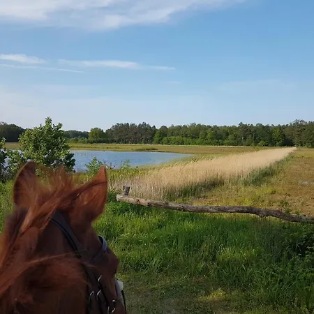 Erve Geers Gelselaar