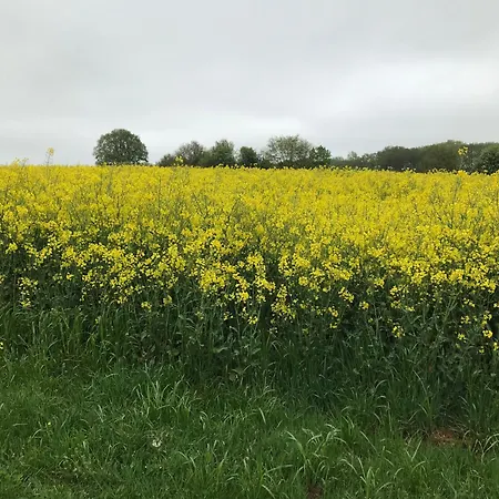 Фермерский дом Erve Geers Gelselaar