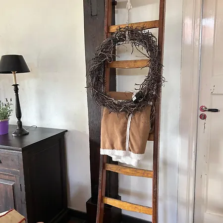 Фермерский дом Erve Geers *