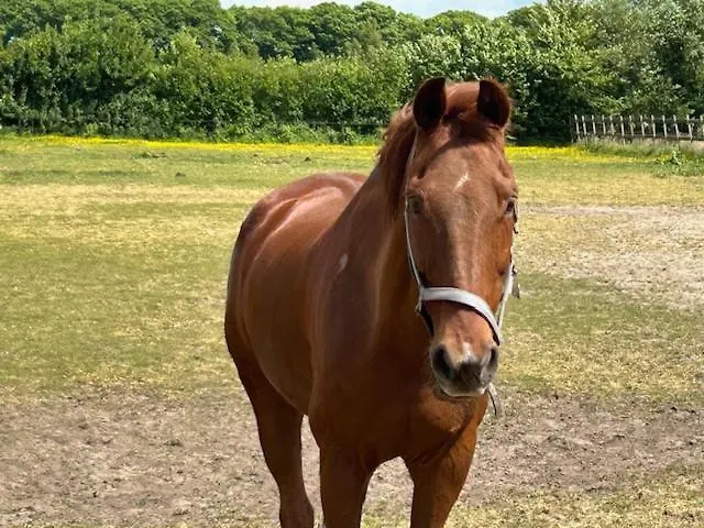 Erve Geers Farm stay