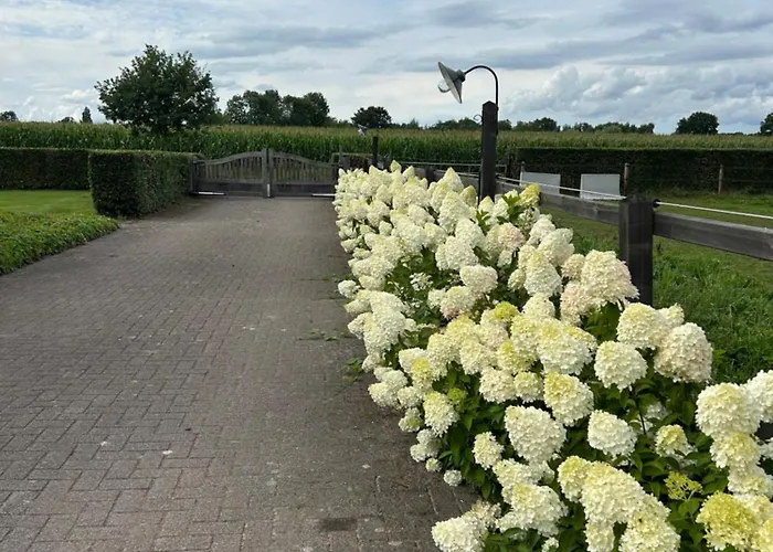 Erve Geers Bauernhof