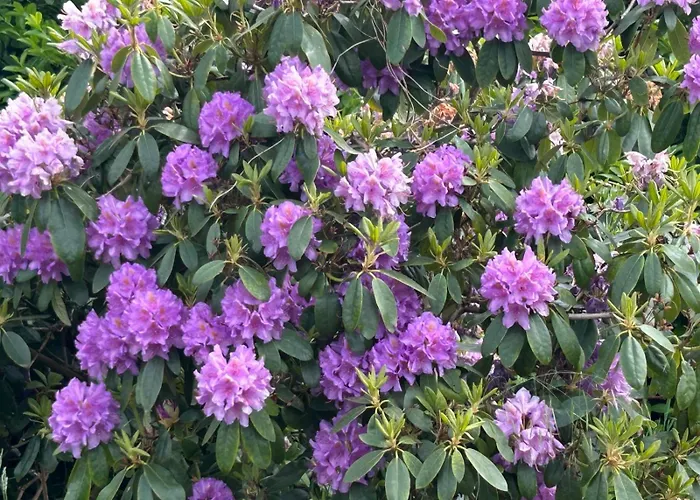 Farm stay Erve Geers