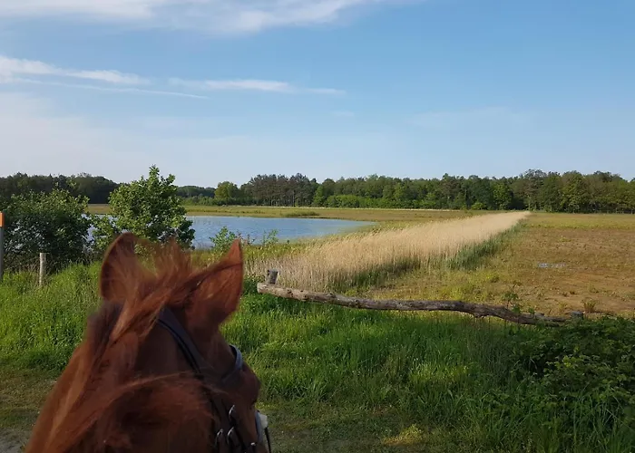 Erve Geers Gelselaar