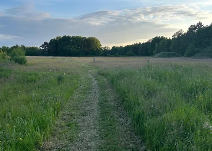 Farm stay Erve Geers Gelselaar