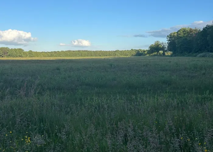 Erve Geers Gelselaar