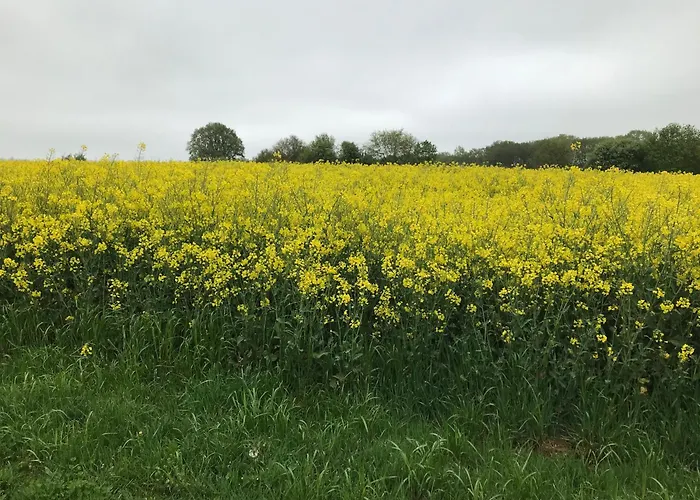 Bauernhof Erve Geers Gelselaar