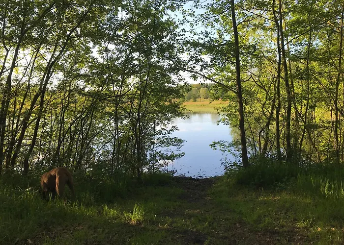 Erve Geers Bauernhof Gelselaar